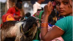 গাধিমাই উৎসব