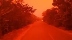 ઇન્ડોનેશિયા