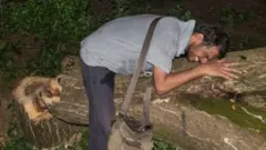 ਆਰੇ ਜੰਗਲ