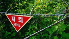 경기도 파주시 제3땅굴 인근 철책에 설치된 지뢰경고 안내문
