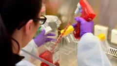 Belçika'da bir laboratuar