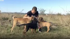 Psi okupljeni oko jedne od volonterki udruženja Beta