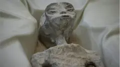 Ўзини НУЖ мутахассиси деб атовчи Хайме Моссан Конгрессдаги тингловда иккита қадимий "инсон бўлмаган"лар жасадларини тақдим этди. Унинг таъкидлашича, жасадлар 2017 йилда Перунинг Куско шаҳрида топилган ва радиокарбон таҳлили объектлар ёши 1800 йил эканини кўрсатган