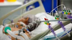 An intensive care unit in France