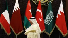 أعلام مجلس التعاون الخليجي