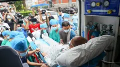 (Ảnh chỉ có tính chất minh họa)