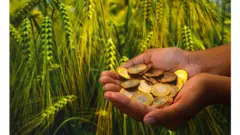 வேளாண் தனி பட்ஜெட் -2022