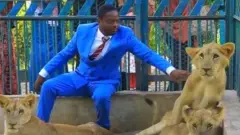 Un homme jouant avec trois lions.