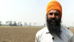 ਝੋਨੇ ਦੀ ਬਿਜਾਈ