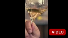 ஐரோப்பிய விலாங்கு மீன்குஞ்சுகள் கடத்தப்படுவது ஏன்?