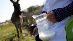 ጸባ ኣድጊ ዝሓዘ ሰብኣይ