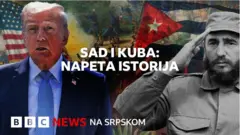 Tramp i Kastro ilustracija