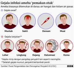 Symptome der Amöbenkrankheit Naegleria fowleri