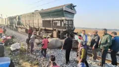 برخورد قطار سریع‌السیر با گله فیل‌ها در ایالت آسام هند