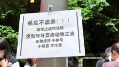 反對虐待動物的海報