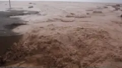 سیل