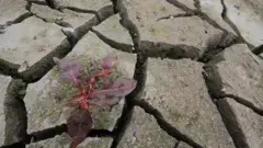 Сімферопольське водосховище