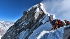 에베레스트 등반객은 최근 급증한 바 있다. 이번 조치로, 셰르파들 생계에 영향이 불가피하다