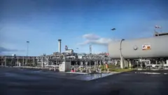 hollanda doğal gaz üretim tesisi Kolham
