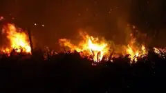 Fire