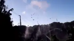 لحظة انهيار أحد أكبر التلسكوبات في العالم