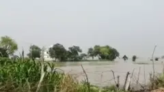 Flood