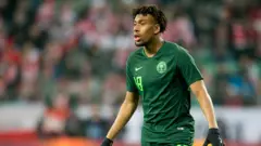 Alex Iwobi