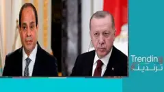 السيسي وإردوغان