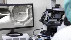 processo de fertilização in vitro