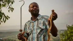 François Nsingi, umuhinga ku kigo co ku mugwa mukuru Kinshasa kijejwe kurwanya ubumara bw'inzoka