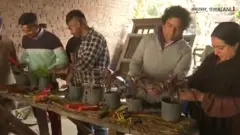 प्लांट अस्पताल