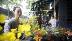 Hình minh họa