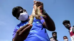 மீன்