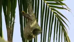 விவசாயிகள்