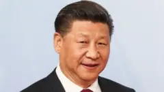 ሺ ዢንፒንግ