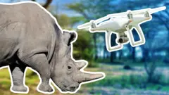 Image composite d'un rhinocéros et d'un drone
