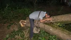 सुशांत बळी