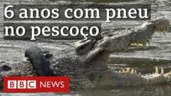 Vídeo