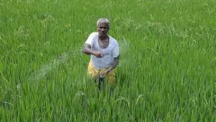 వ్యవసాయం