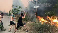حرائق الجزائر
