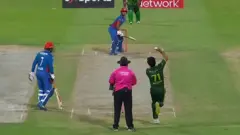 کرېکټ