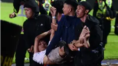 stampedo