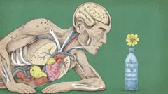 رسم توضيحي لجسم الإنسان.