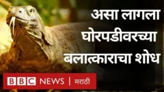 घोरपड