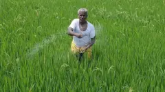 ખેડૂત