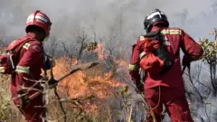 Bomberos tratan de controlar el fuego cerca de Charagua, en Bolivia, en la frontera con Paraguay, el 29 de agosto de 2019.