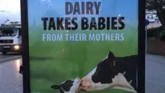 Go vegan post