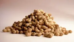 فول سوداني