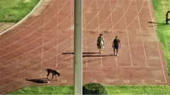 દિલ્હીના વરિષ્ઠ સનદી અધિકારી સંજીવ ખીરવાર દંપત્તિની શ્વાન સાથે ઇવનિંગ વૉકની વાયરલ તસવીર