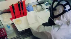 LOCKDOWON